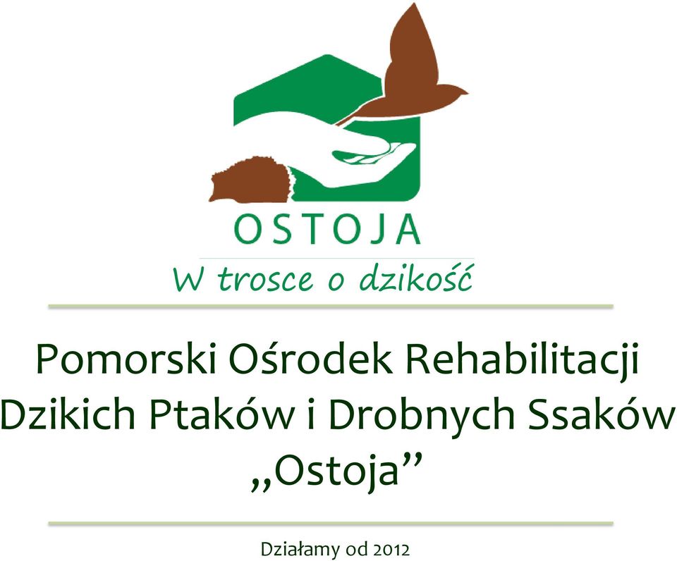 Rehabilitacji Dzikich