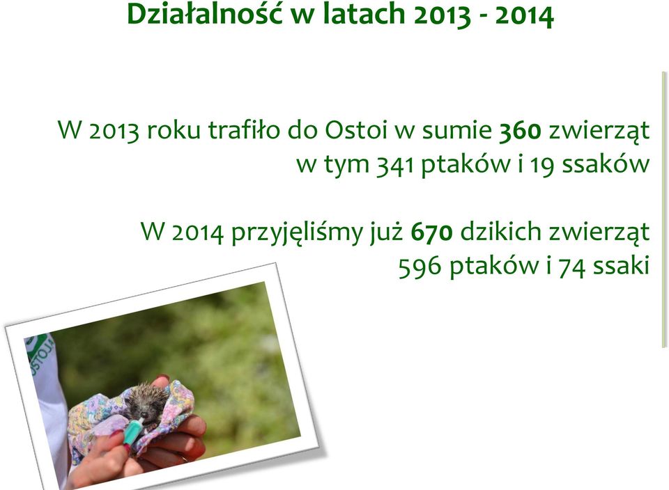 341 ptaków i 19 ssaków W 2014 przyjęliśmy