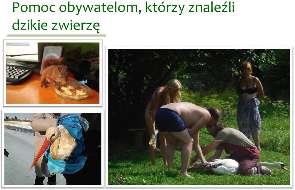 którzy