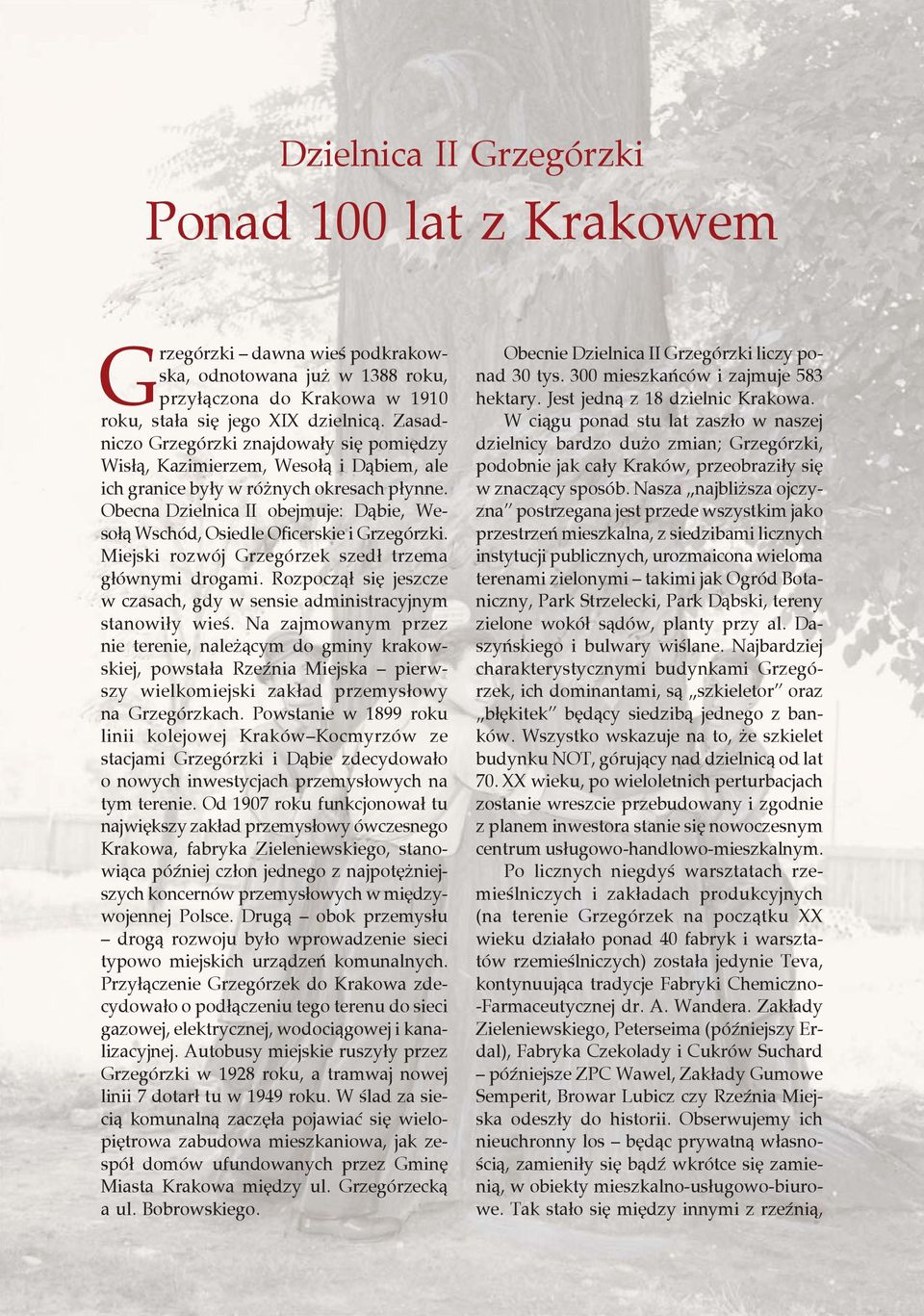 Obecna Dzielnica II obejmuje: Dąbie, Wesołą Wschód, Osiedle Oficerskie i Grzegórzki. Miejski rozwój Grzegórzek szedł trzema głównymi drogami.