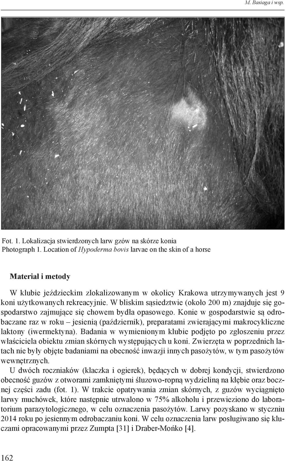 W bliskim sąsiedztwie (około 200 m) znajduje się gospodarstwo zajmujące się chowem bydła opasowego.