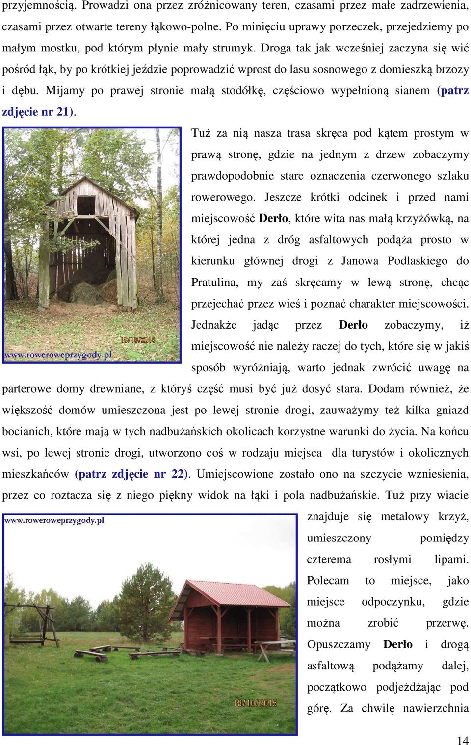 Droga tak jak wcześniej zaczyna się wić pośród łąk, by po krótkiej jeździe poprowadzić wprost do lasu sosnowego z domieszką brzozy i dębu.