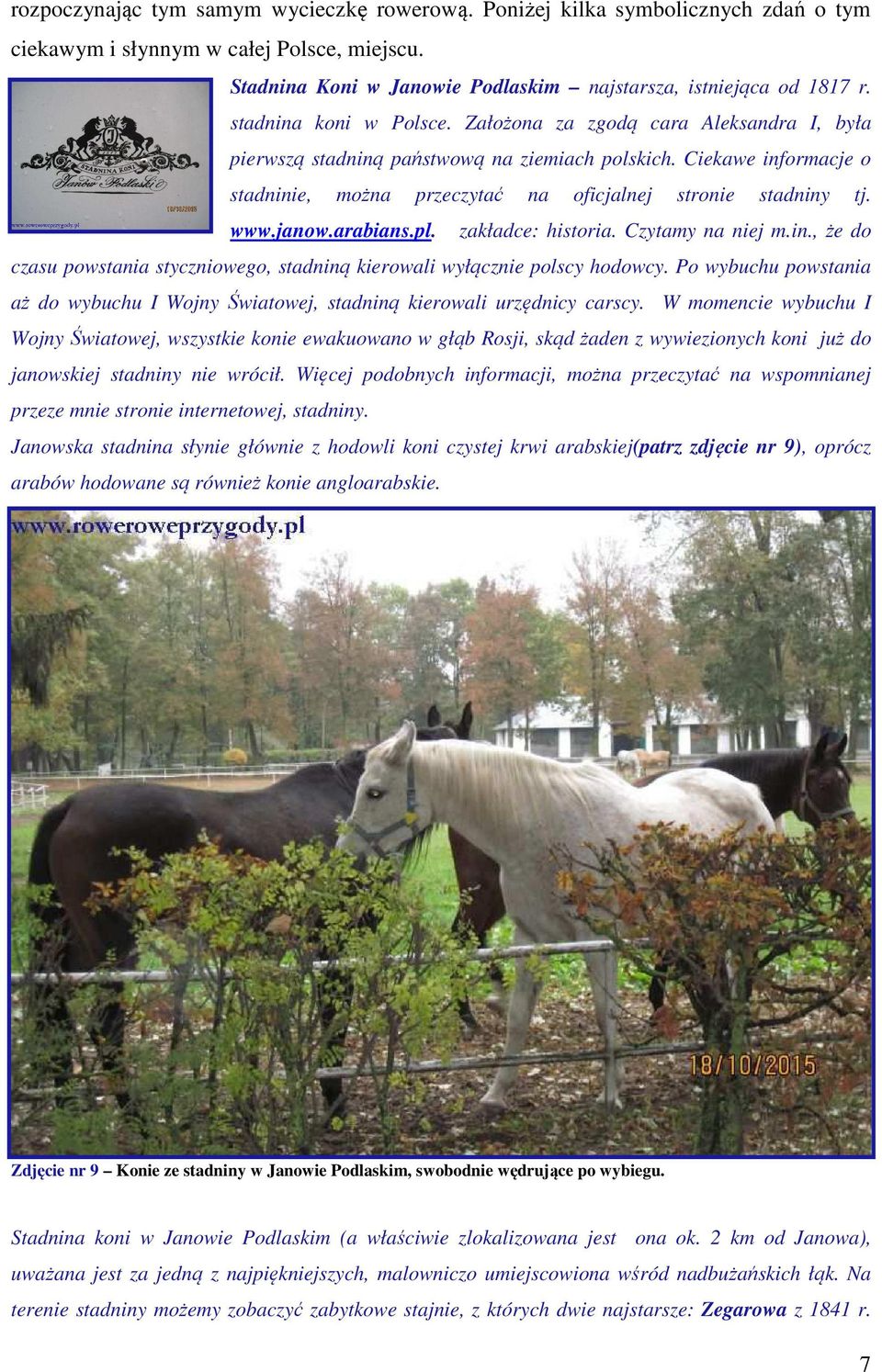 www.janow.arabians.pl. zakładce: historia. Czytamy na niej m.in., że do czasu powstania styczniowego, stadniną kierowali wyłącznie polscy hodowcy.