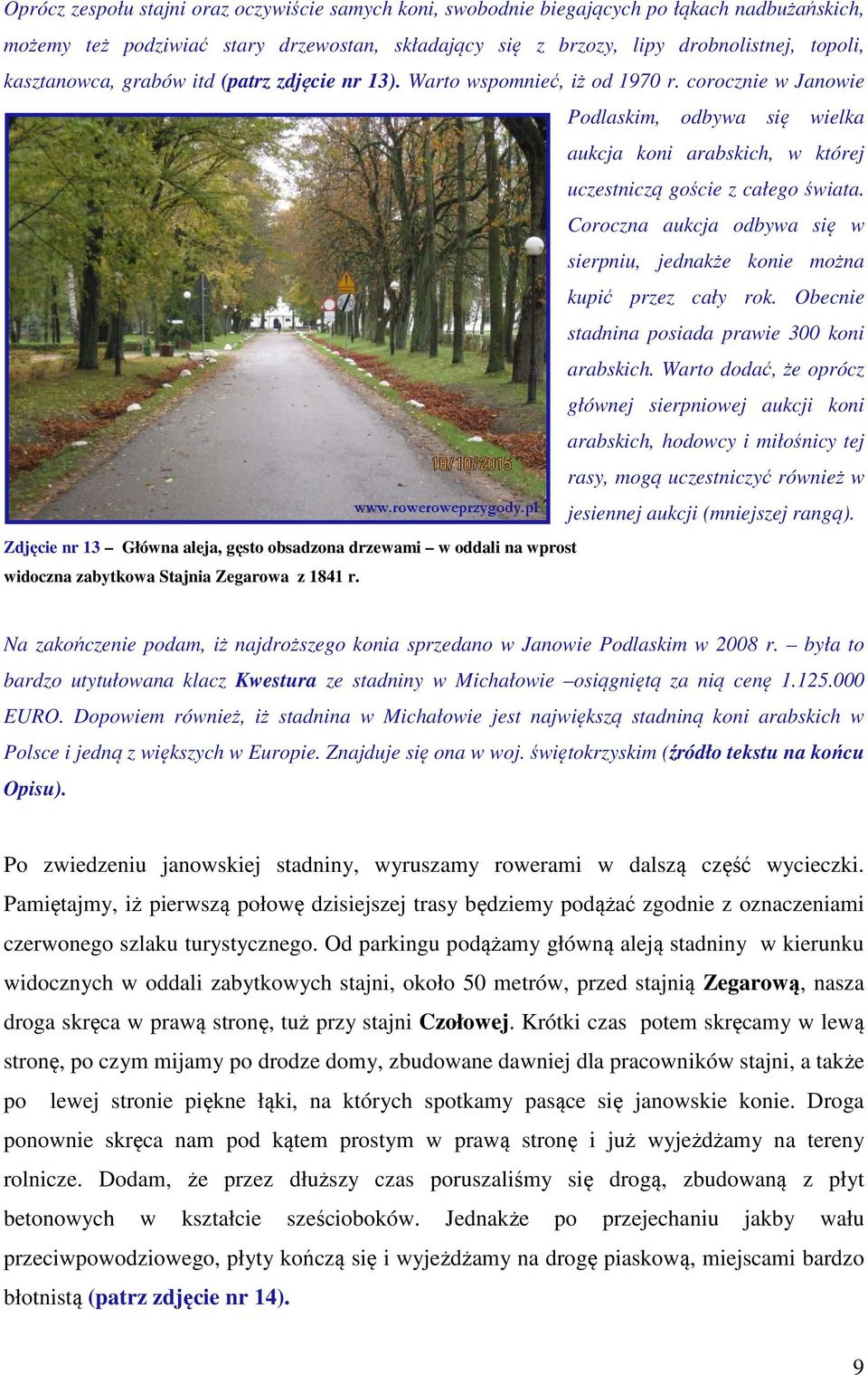 Coroczna aukcja odbywa się w sierpniu, jednakże konie można kupić przez cały rok. Obecnie stadnina posiada prawie 300 koni arabskich.