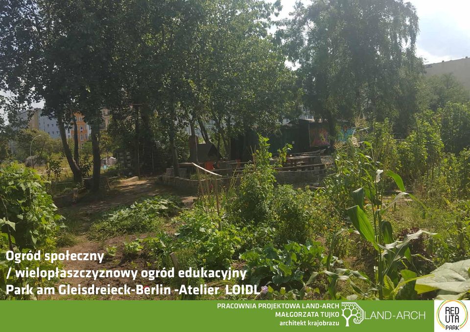 ogród edukacyjny Park