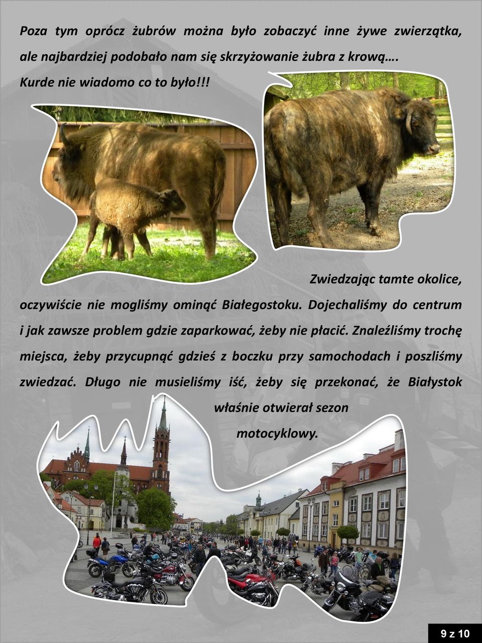 Dojechaliśmy do centrum i jak zawsze problem gdzie zaparkować, żeby nie płacić.