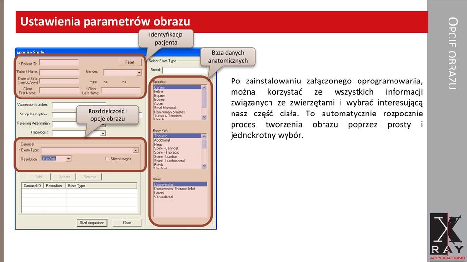 wszystkich informacji związanych ze zwierzętami i wybrać interesującą nasz część ciała.