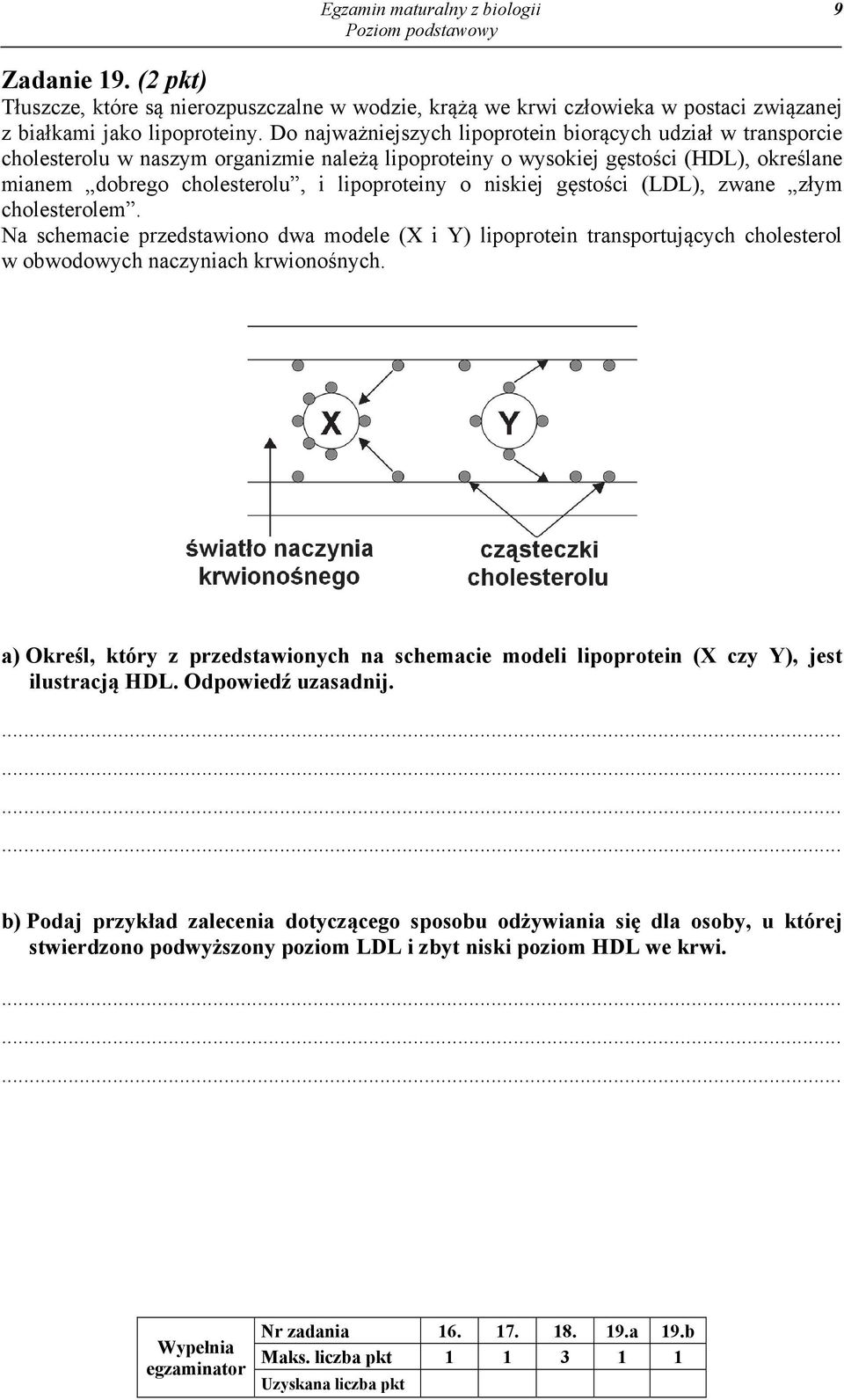 niskiej gęstości (LDL), zwane złym cholesterolem. Na schemacie przedstawiono dwa modele (X i Y) lipoprotein transportujących cholesterol w obwodowych naczyniach krwionośnych.