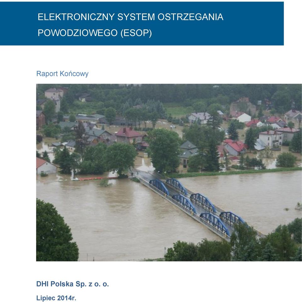 (ESOP) Raport Końcowy DHI