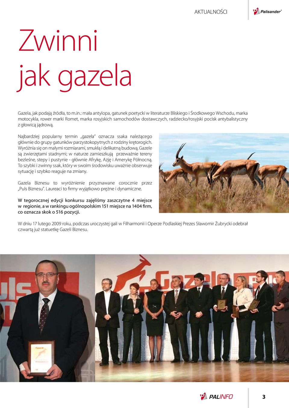: mała antylopa, gatunek poetycki w literaturze Bliskiego i Środkowego Wschodu, marka motocykla, rower marki Romet, marka rosyjskich samochodów dostawczych, radziecko/rosyjski pocisk antybalistyczny