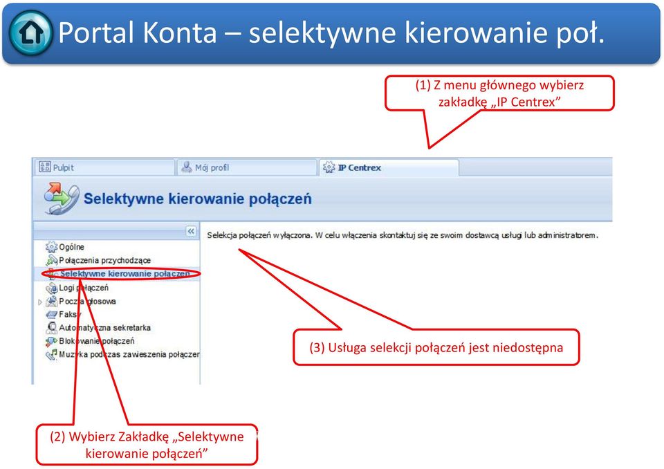 (3) Usługa selekcji połączeń