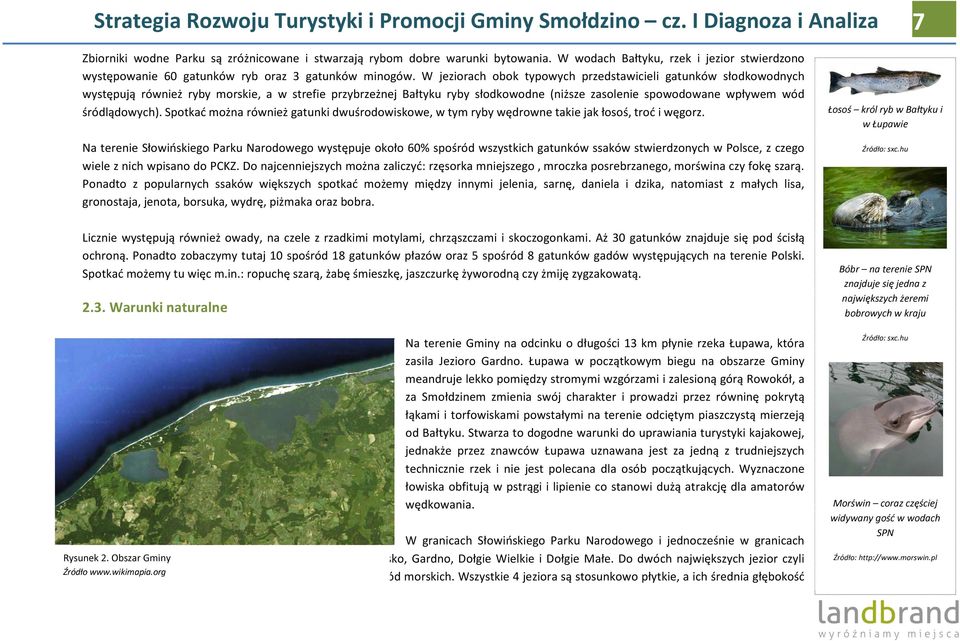 W jeziorach obok typowych przedstawicieli gatunków słodkowodnych występują również ryby morskie, a w strefie przybrzeżnej Bałtyku ryby słodkowodne (niższe zasolenie spowodowane wpływem wód