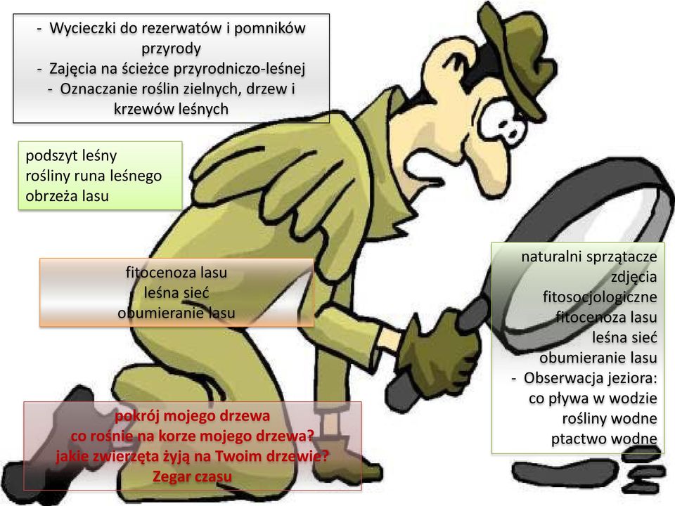 drzewa co rośnie na korze mojego drzewa? jakie zwierzęta żyją na Twoim drzewie?