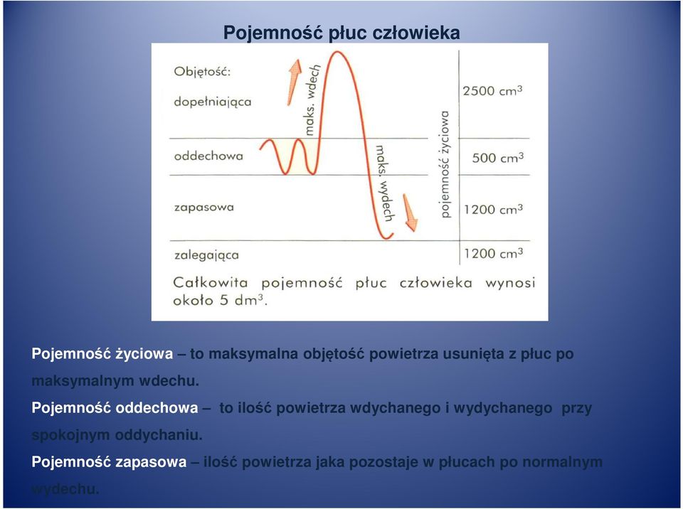 Pojemność oddechowa to ilość powietrza wdychanego i wydychanego przy