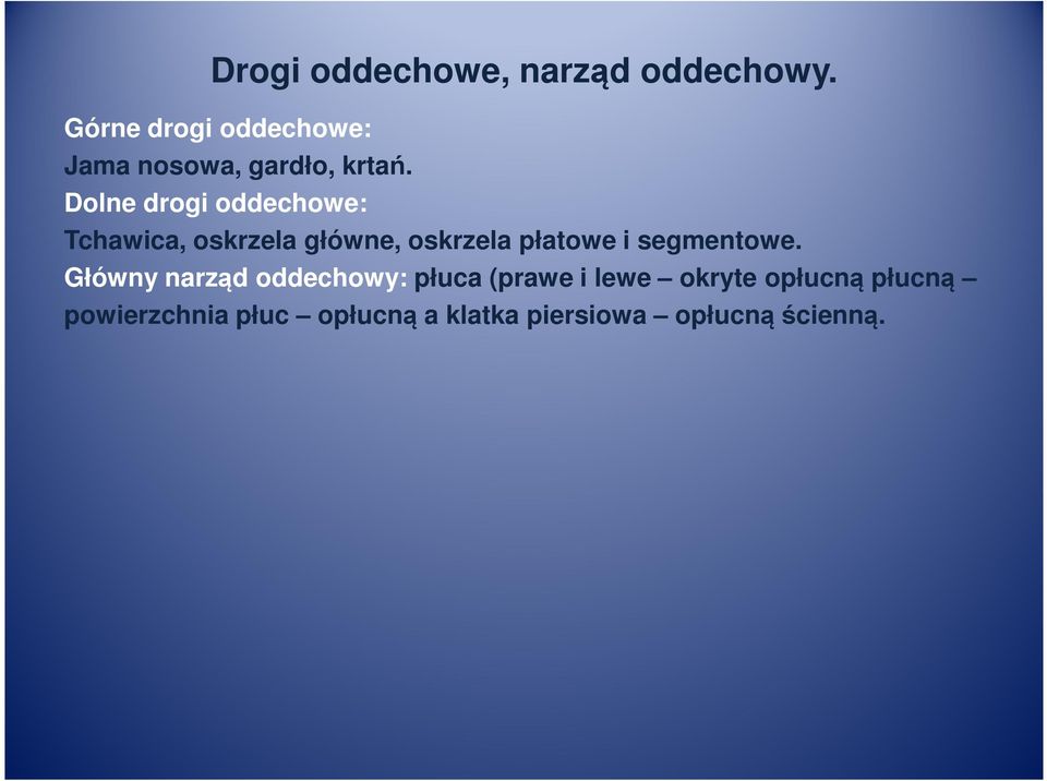 Dolne drogi oddechowe: Tchawica, oskrzela główne, oskrzela płatowe i