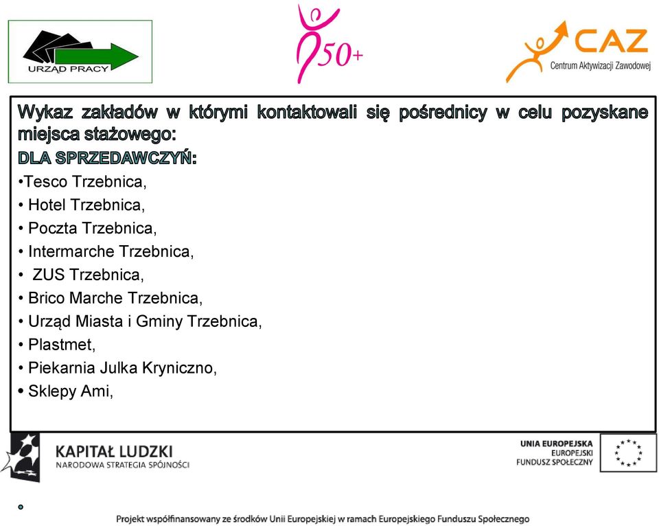 Brico Marche Trzebnica, Urząd Miasta i Gminy