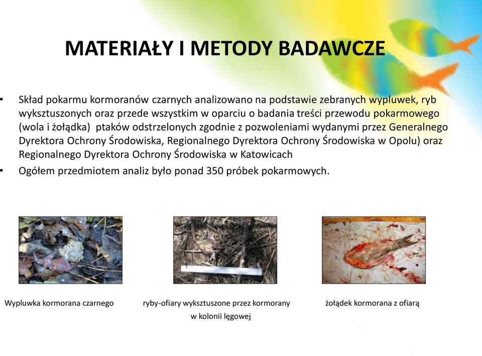 Ochrony Środowiska, Regionalnego Dyrektora Ochrony Środowiska w Opolu) oraz Regionalnego Dyrektora Ochrony Środowiska w Katowicach Ogółem przedmiotem