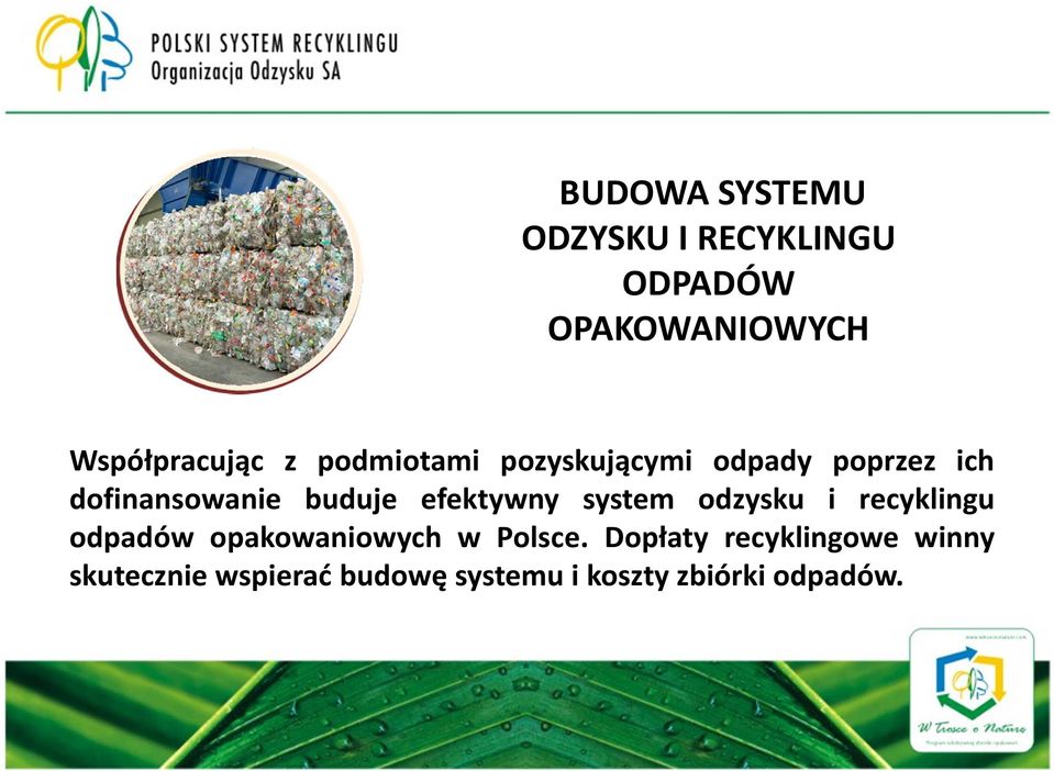 efektywny system odzysku i recyklingu odpadów opakowaniowych w Polsce.