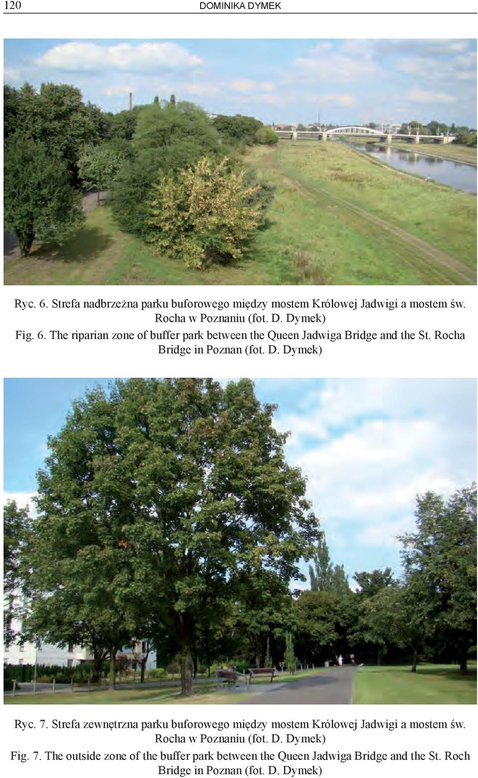 7. Strefa zewnętrzna parku buforowego między mostem Królowej Jadwigi a mostem św. Rocha w Poznaniu (fot. D. Dymek) Fig. 7.