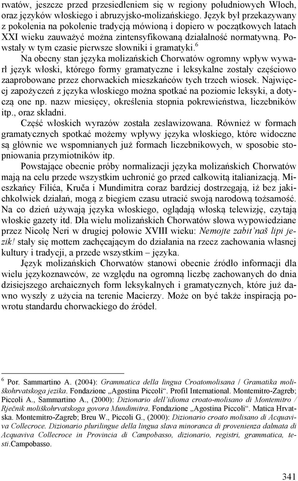 Powstały w tym czasie pierwsze słowniki i gramatyki.