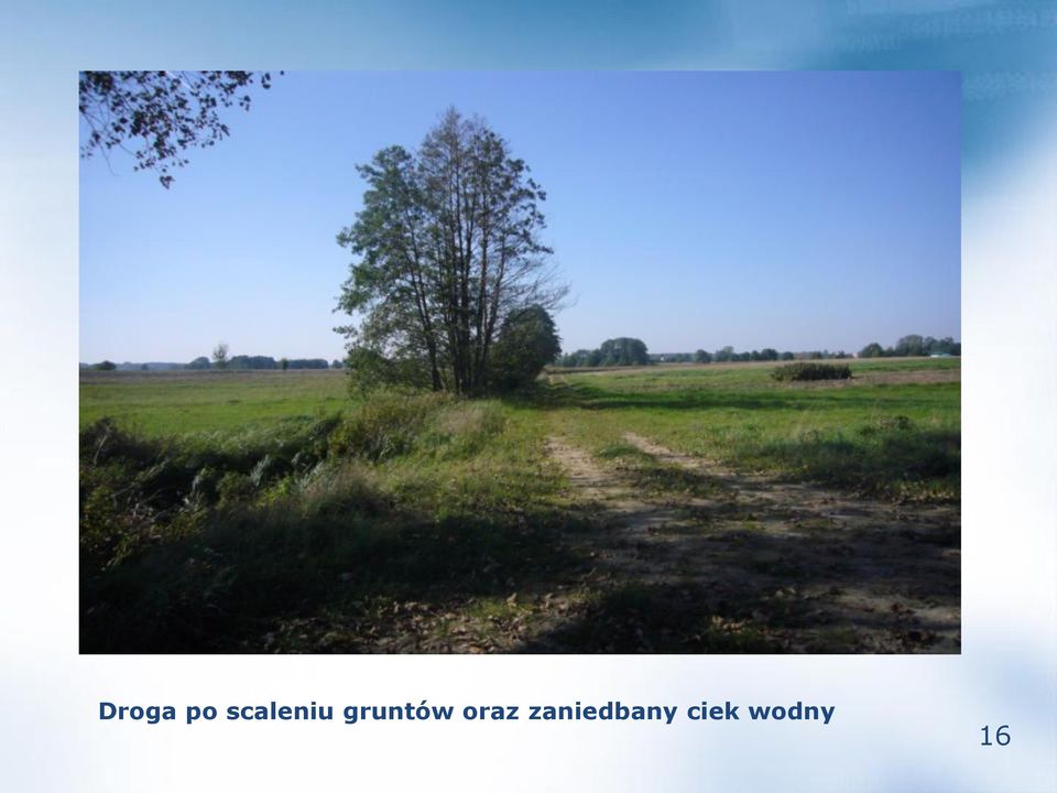 gruntów oraz