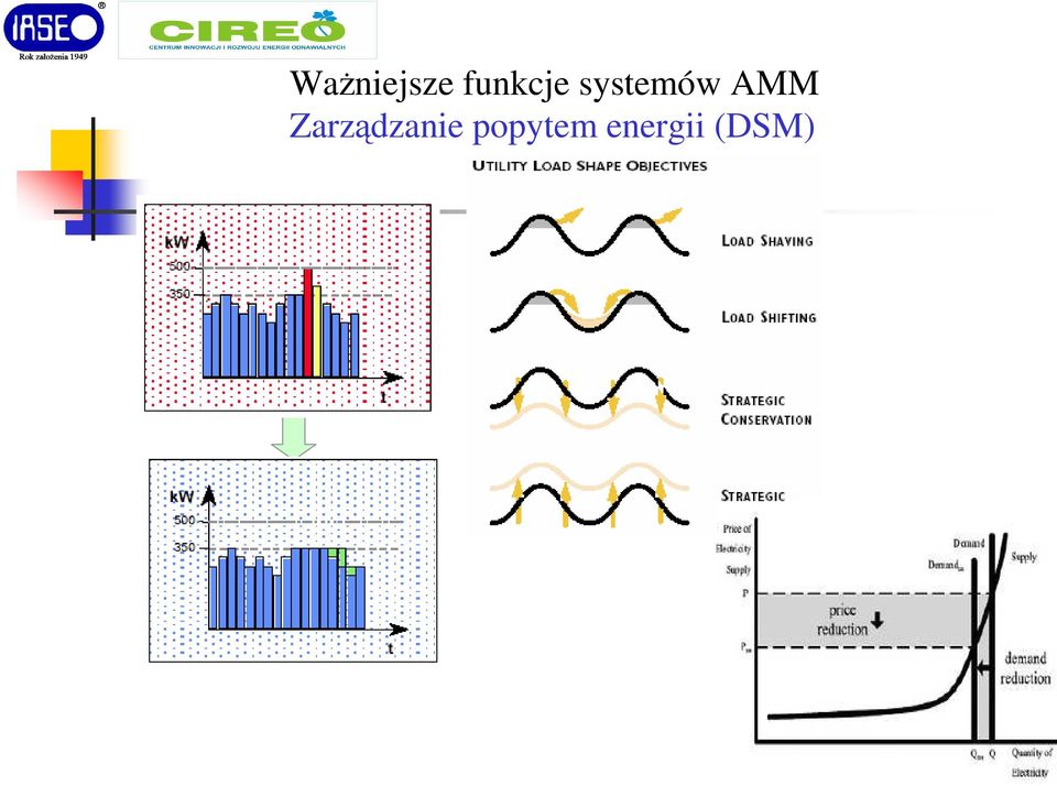 AMM Zarządzanie