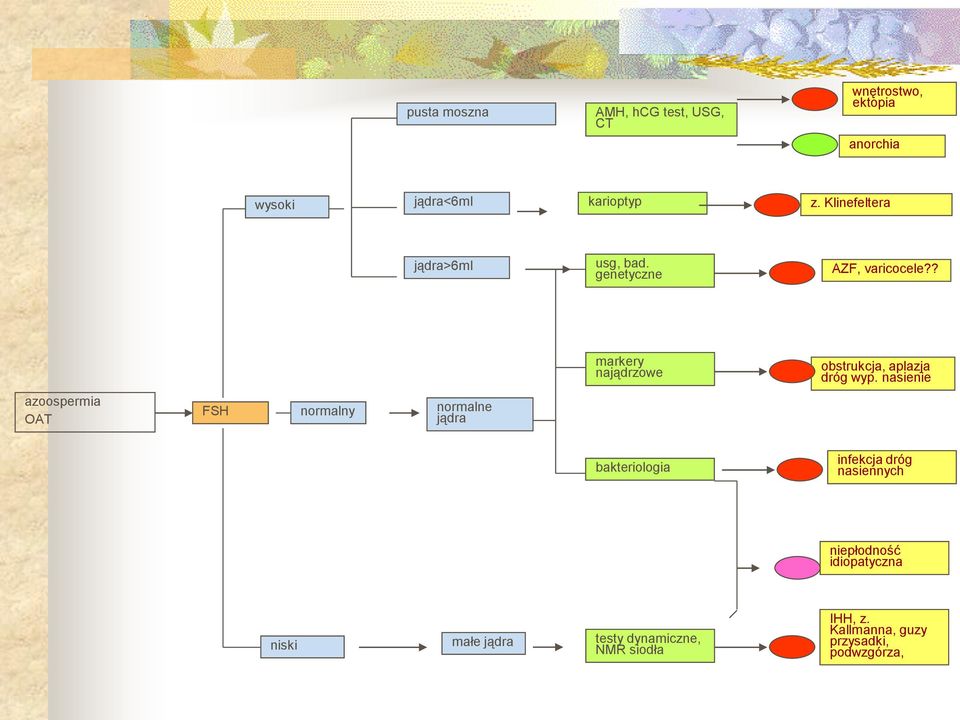 ? markery najądrzowe obstrukcja, aplazja dróg wyp.
