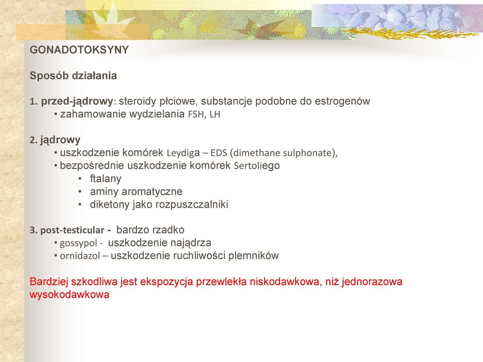 jądrowy uszkodzenie komórek Leydiga EDS (dimethane sulphonate), bezpośrednie uszkodzenie komórek Sertoliego ftalany aminy