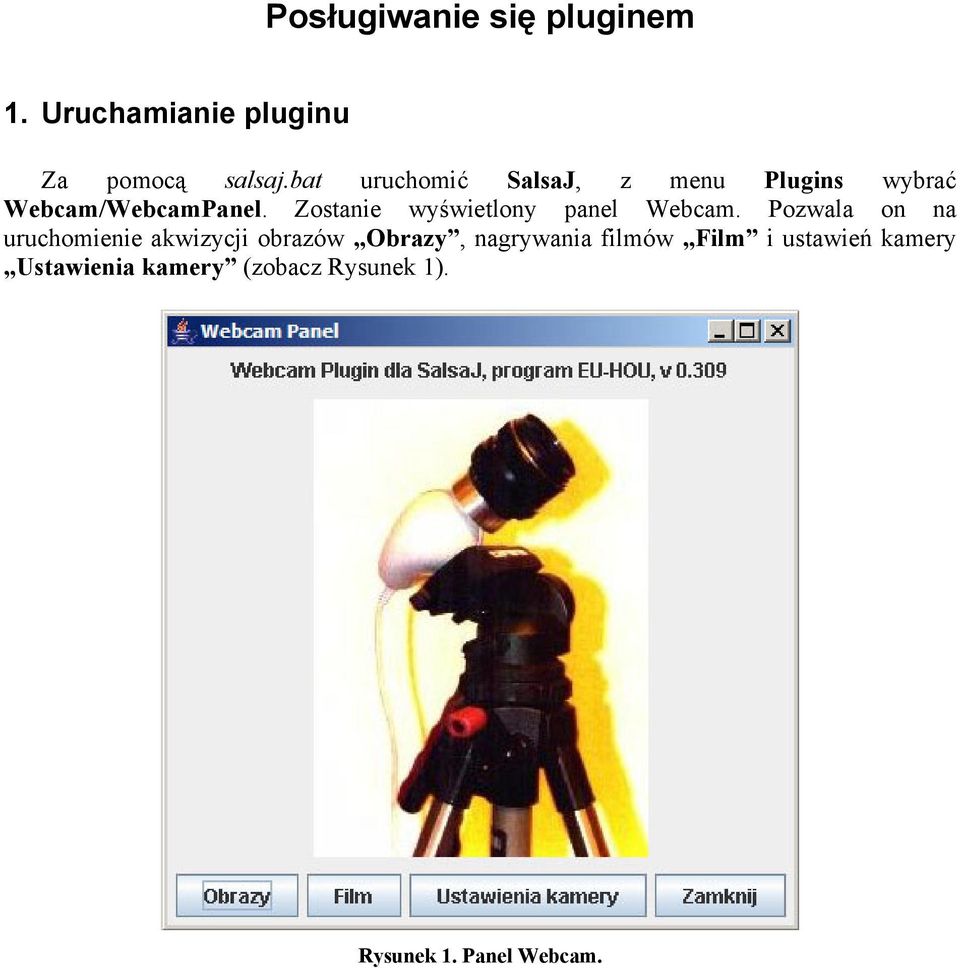 Zostanie wyświetlony panel Webcam.