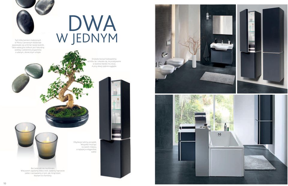 DWA W JEDNYm Drzewko bonsai hodowaliśmy od kilku lat i okazało się, że przebywanie w łazience bardzo mu służy. A przy okazji pięknie wygląda.