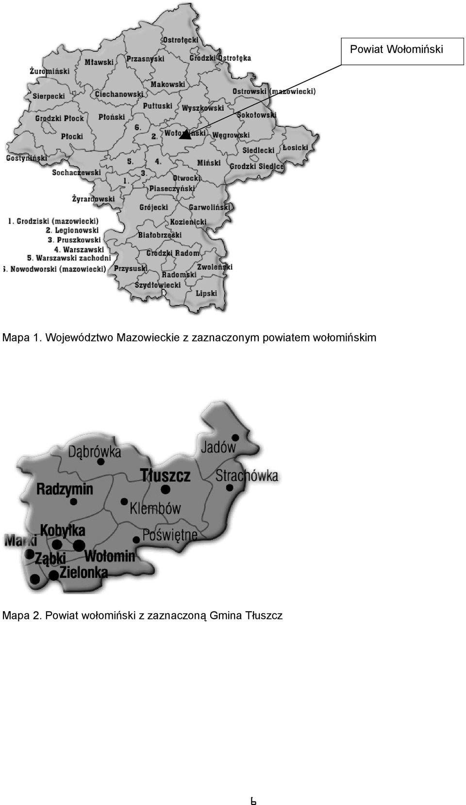 zaznacznym pwiatem włmińskim