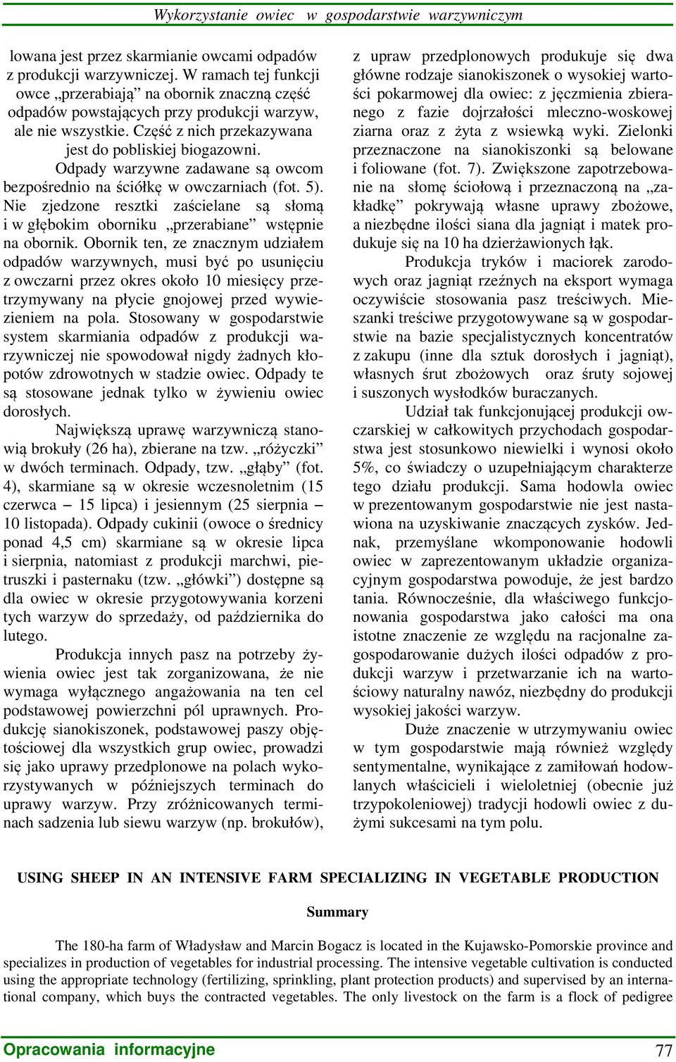 Odpady warzywne zadawane są owcom bezpośrednio na ściółkę w owczarniach (fot. 5). Nie zjedzone resztki zaścielane są słomą i w głębokim oborniku przerabiane wstępnie na obornik.