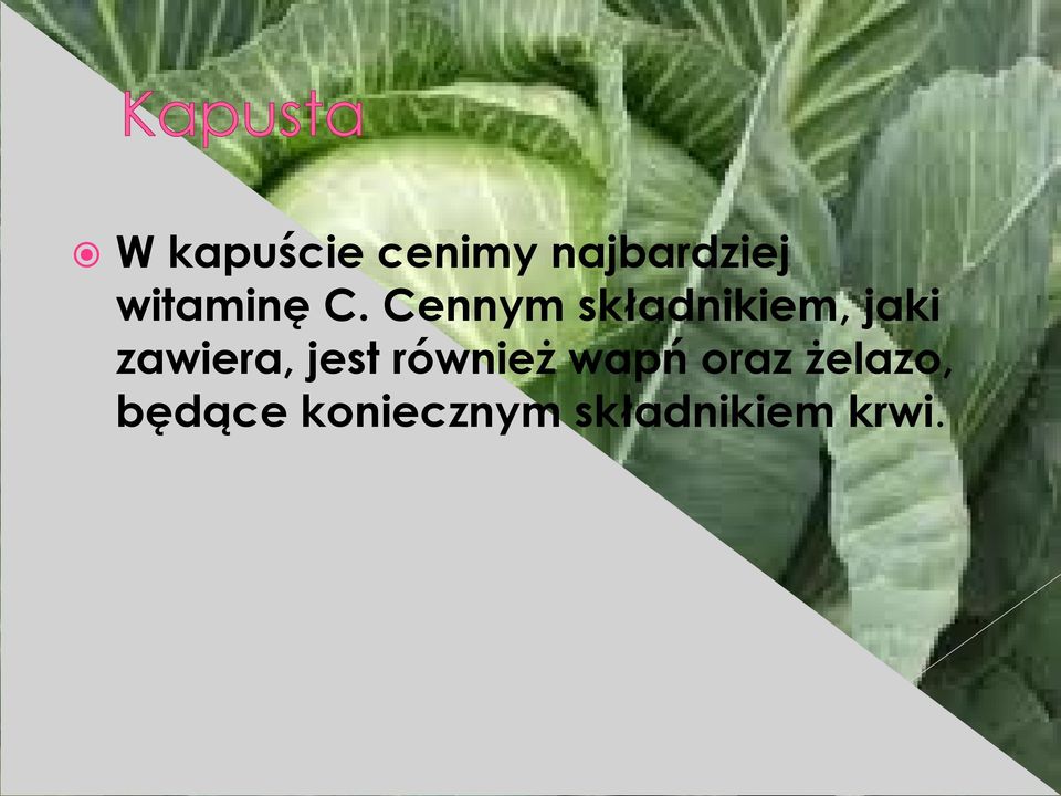 Cennym składnikiem, jaki zawiera,