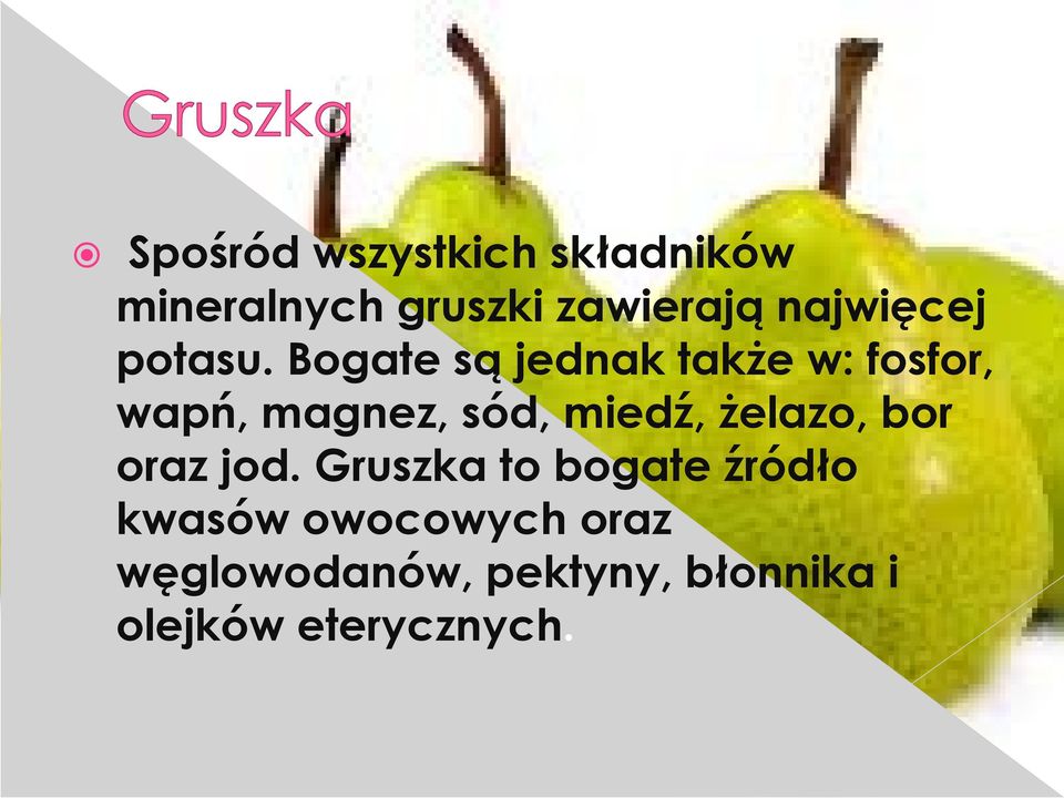 Bogate są jednak także w: fosfor, wapń, magnez, sód, miedź,