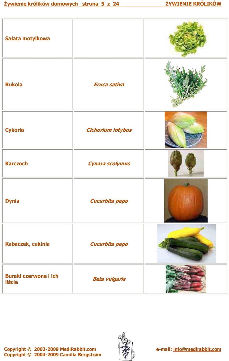 Karczoch Cynara scolymus Dynia Cucurbita pepo Kabaczek,