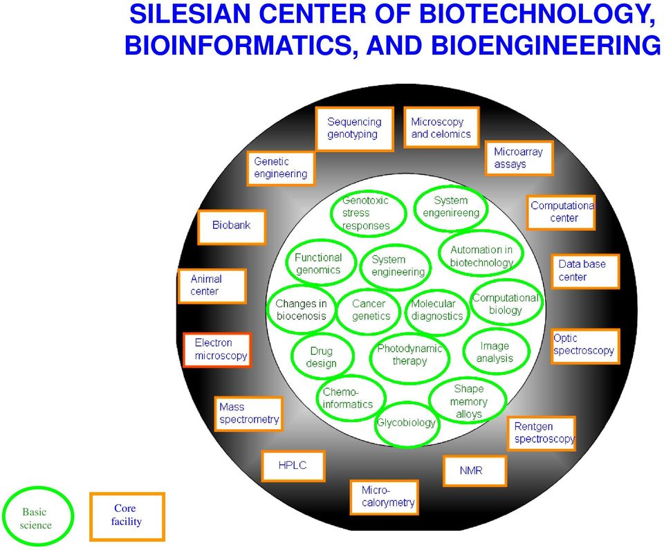 BIOINFORMATICS, AND