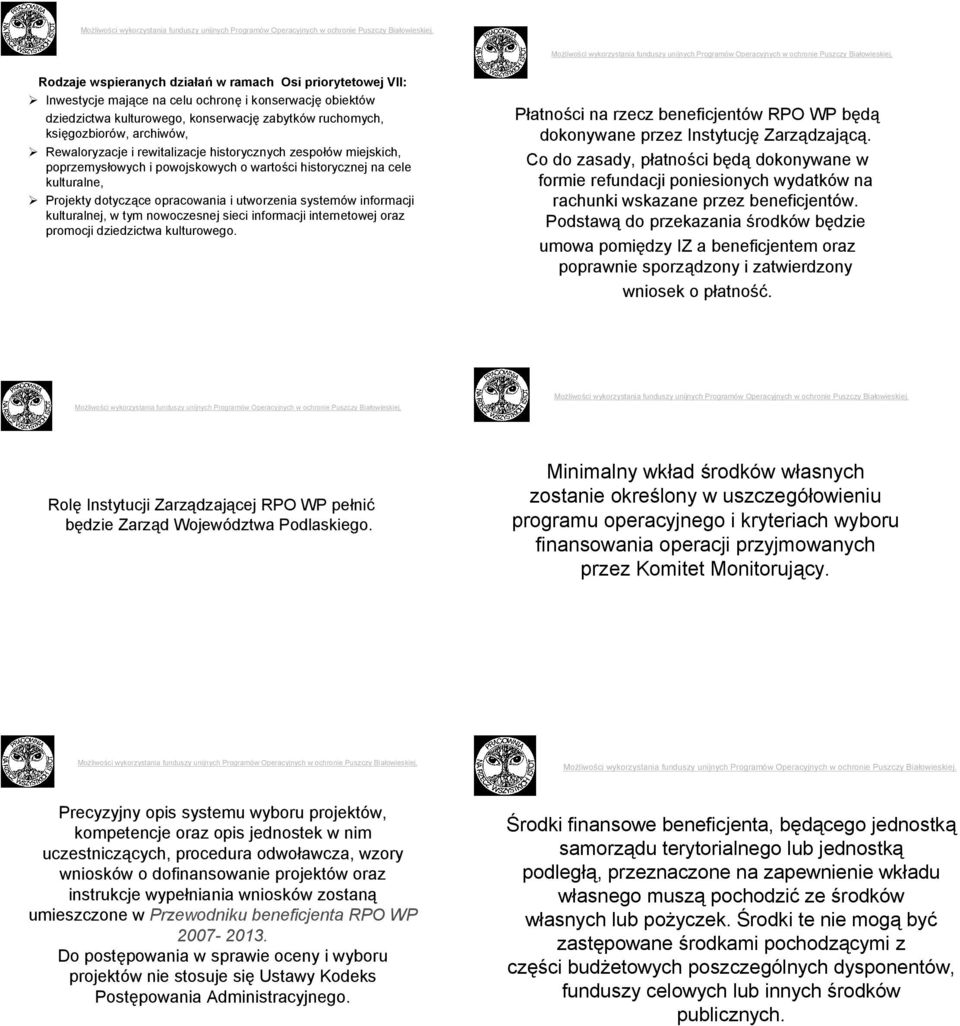 informacji kulturalnej, w tym nowoczesnej sieci informacji internetowej oraz promocji dziedzictwa kulturowego. Płatności na rzecz beneficjentów RPO WP będą dokonywane przez Instytucję Zarządzającą.