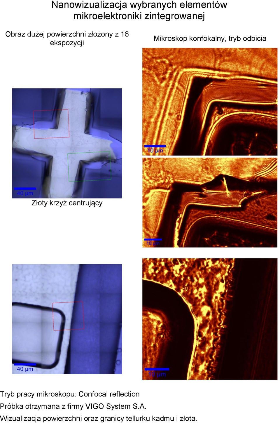 krzyż centrujący Tryb pracy mikroskopu: Confocal reflection Próbka otrzymana z