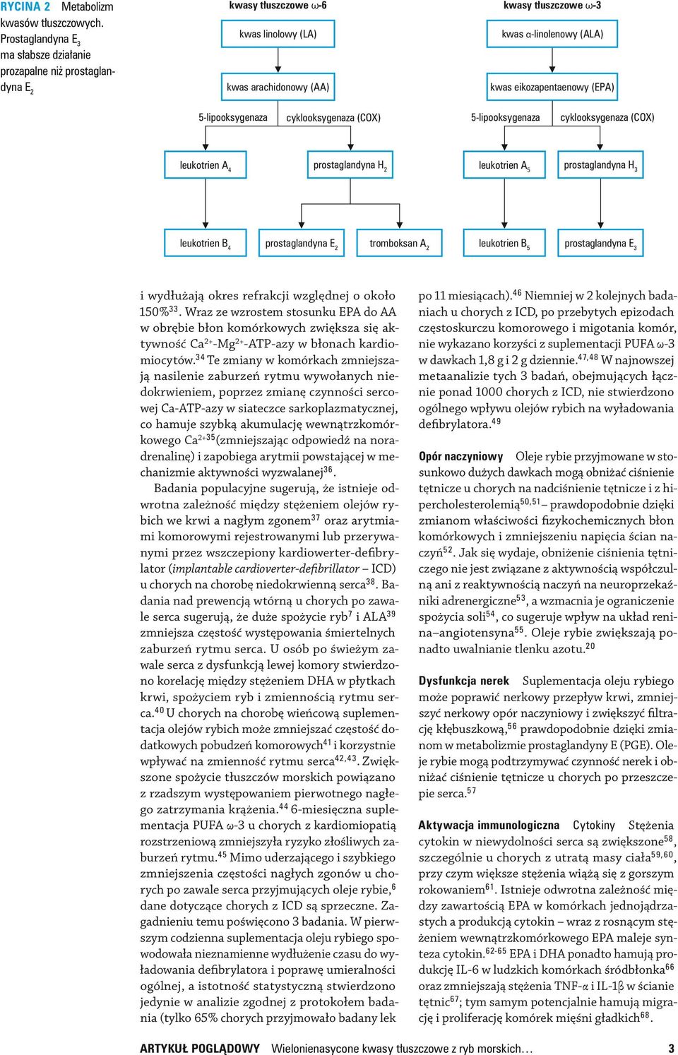 eikozapentaenowy (EPA) 5-lipooksygenaza cyklooksygenaza (COX) 5-lipooksygenaza cyklooksygenaza (COX) leukotrien A 4 prostaglandyna H 2 leukotrien A 5 prostaglandyna H 3 leukotrien B 4 prostaglandyna