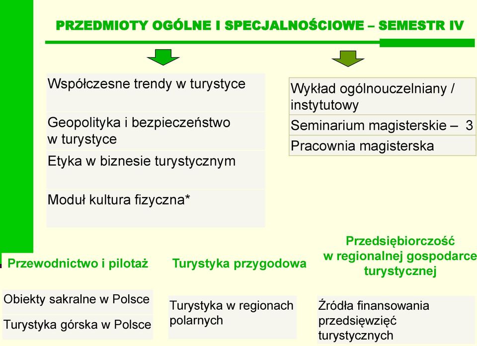 magisterska Moduł kultura fizyczna* Przewodnictwo i pilotaż Obiekty sakralne w Polsce Turystyka górska w Polsce