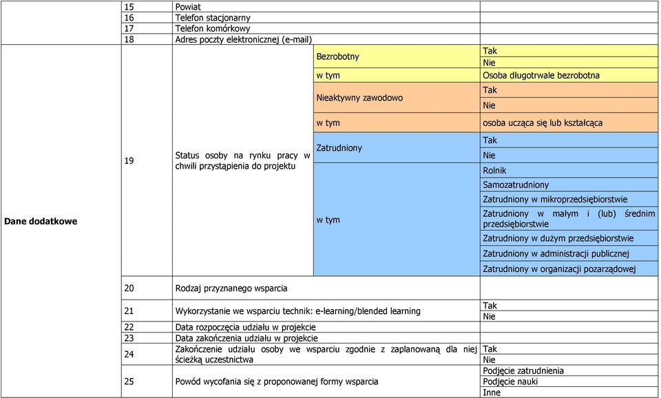 Zatrudniony w duŝym przedsiębiorstwie Zatrudniony w administracji publicznej Zatrudniony w organizacji pozarządowej 20 Rodzaj przyznanego wsparcia 21 Wykorzystanie we wsparciu technik: