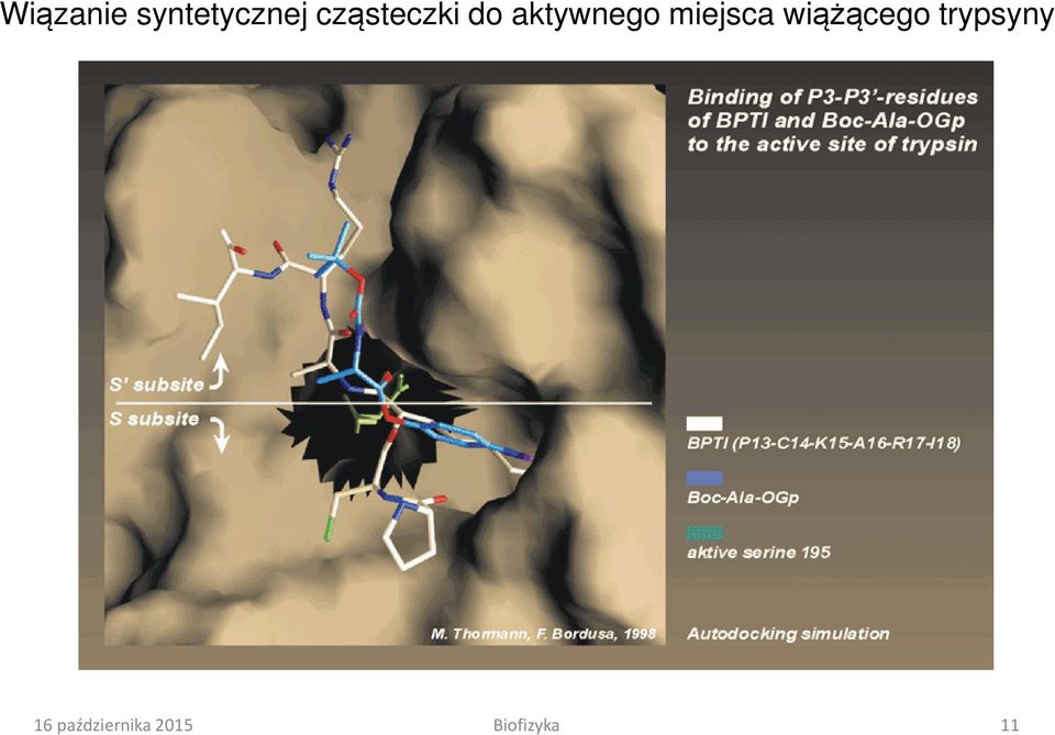 miejsca wiążącego trypsyny