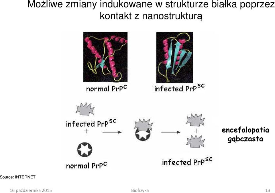nanostrukturą encefalopatia gąbczasta