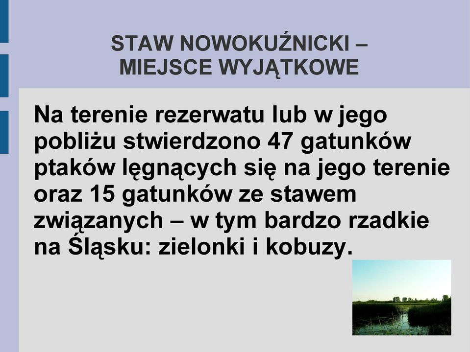 się na jego terenie oraz 15 gatunków ze stawem