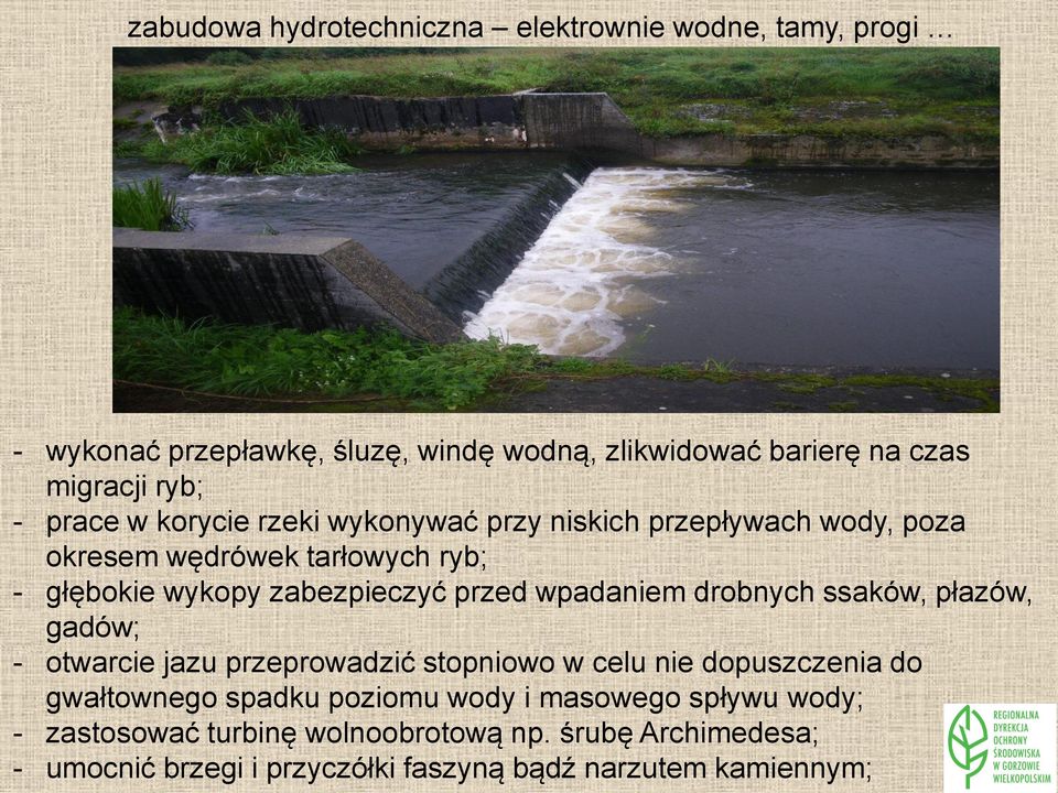 wpadaniem drobnych ssaków, płazów, gadów; - otwarcie jazu przeprowadzić stopniowo w celu nie dopuszczenia do gwałtownego spadku poziomu wody