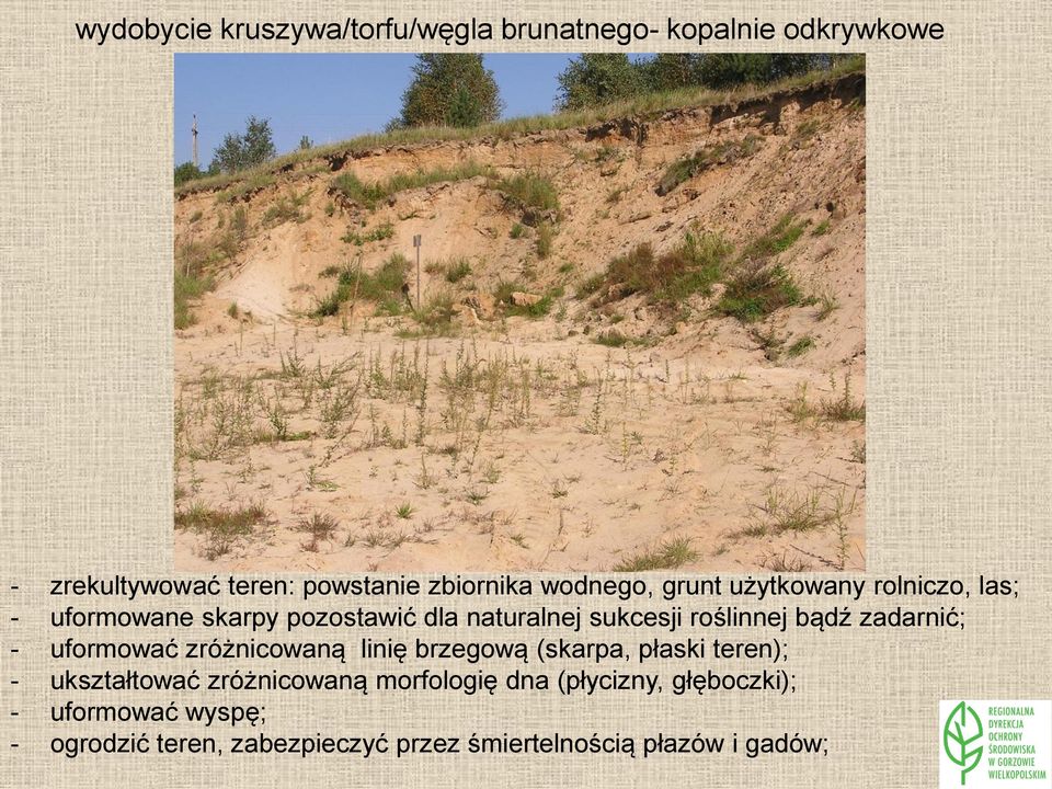 zadarnić; - uformować zróżnicowaną linię brzegową (skarpa, płaski teren); - ukształtować zróżnicowaną