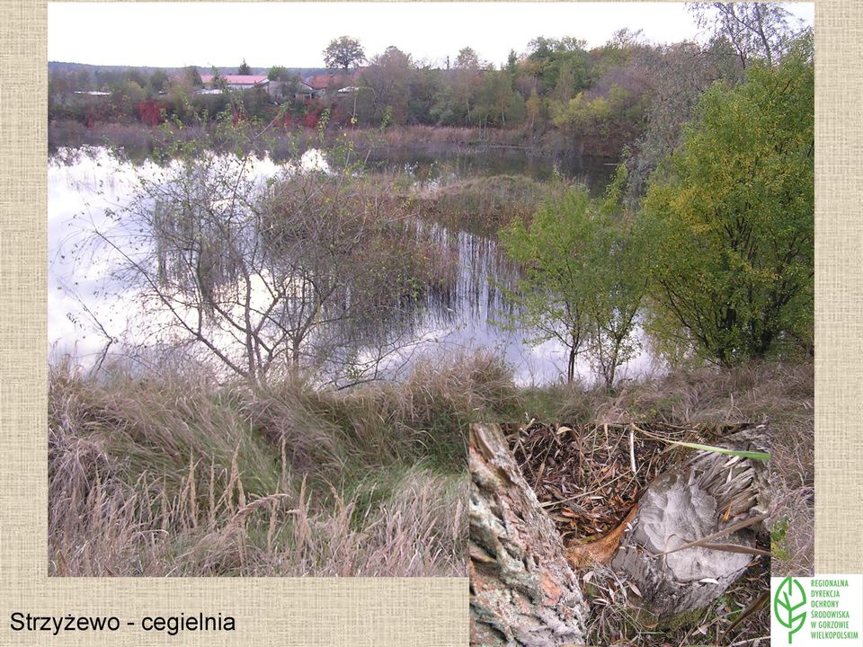 cegielnia