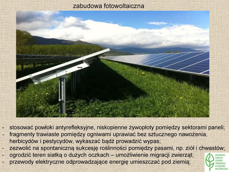 prowadzić wypas; - zezwolić na spontaniczną sukcesję roślinności pomiędzy pasami, np.