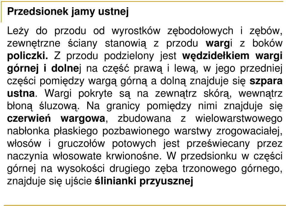 Wargi pokryte są na zewnątrz skórą, wewnątrz błoną śluzową.