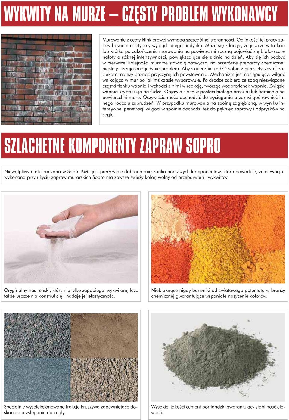 Aby się ich pozbyć w pierwszej kolejności murarze stawiają zazwyczaj na przeróżne preparaty chemiczne: niestety tuszują one jedynie problem.